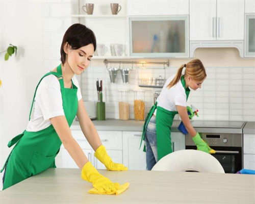 稠江月嫂服務(wù)公司與義烏福田開荒保潔 專業(yè)家政服務(wù)的全面指南